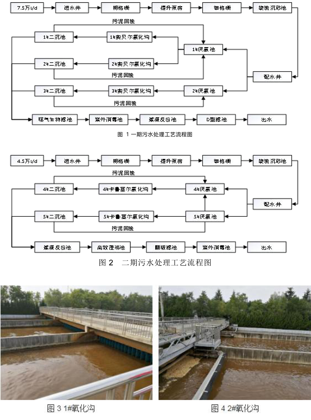 菲恩科技微生物菌劑，低溫脫氮“特種部隊”(1)-4.jpg
