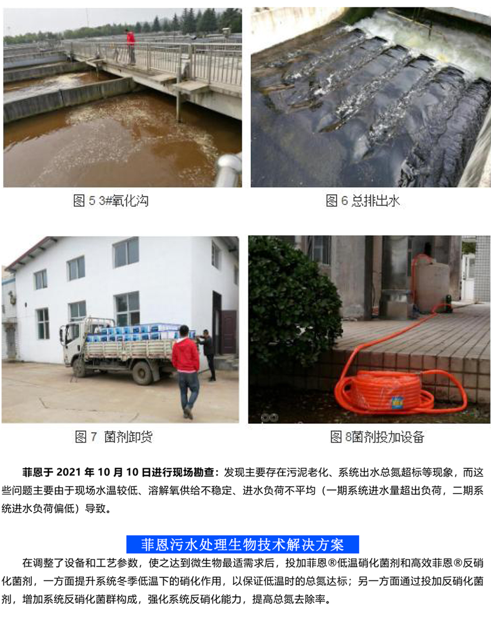 菲恩科技微生物菌劑，低溫脫氮“特種部隊”(1)-5.jpg