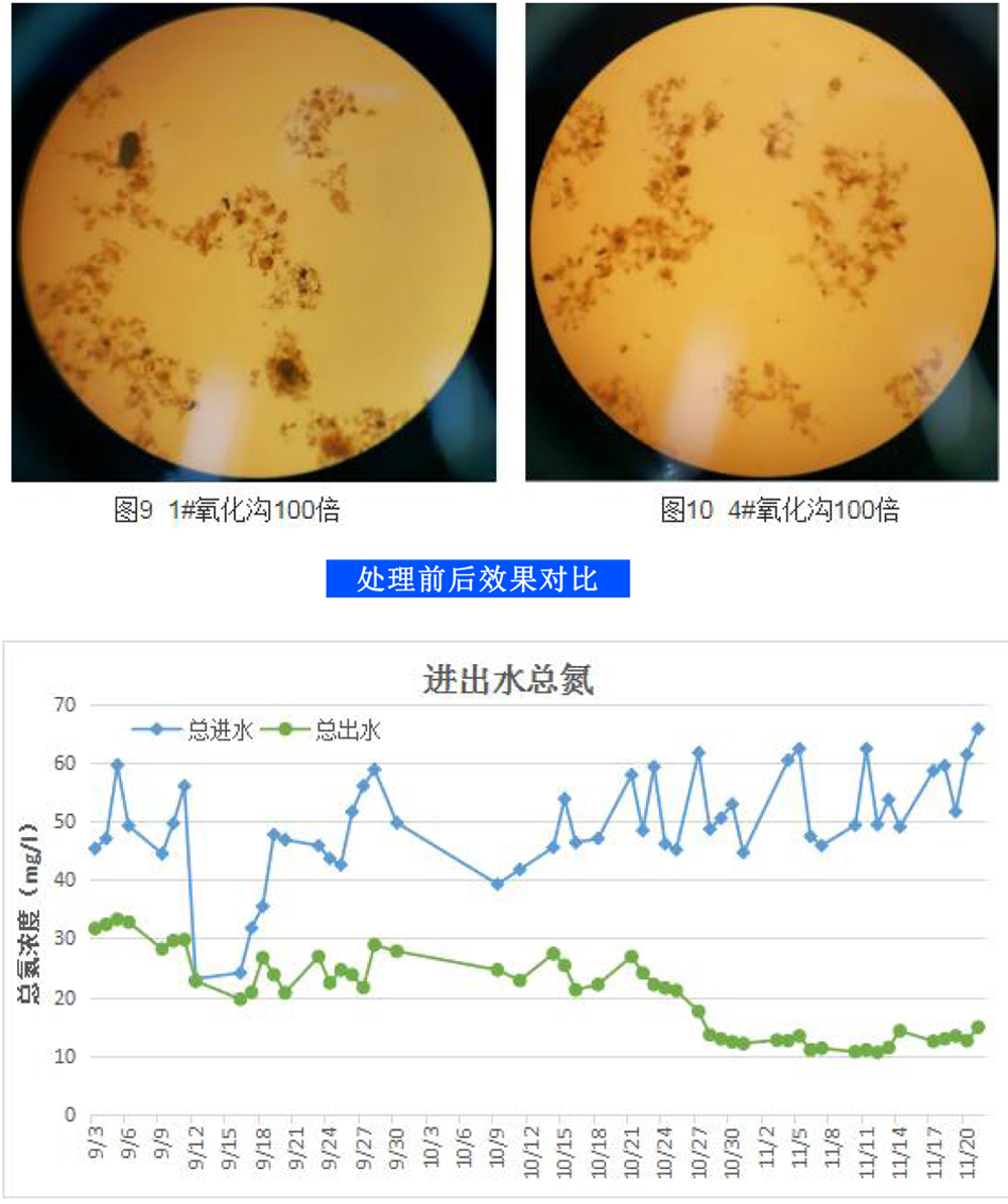 菲恩科技微生物菌劑，低溫脫氮“特種部隊”(1)-6.jpg